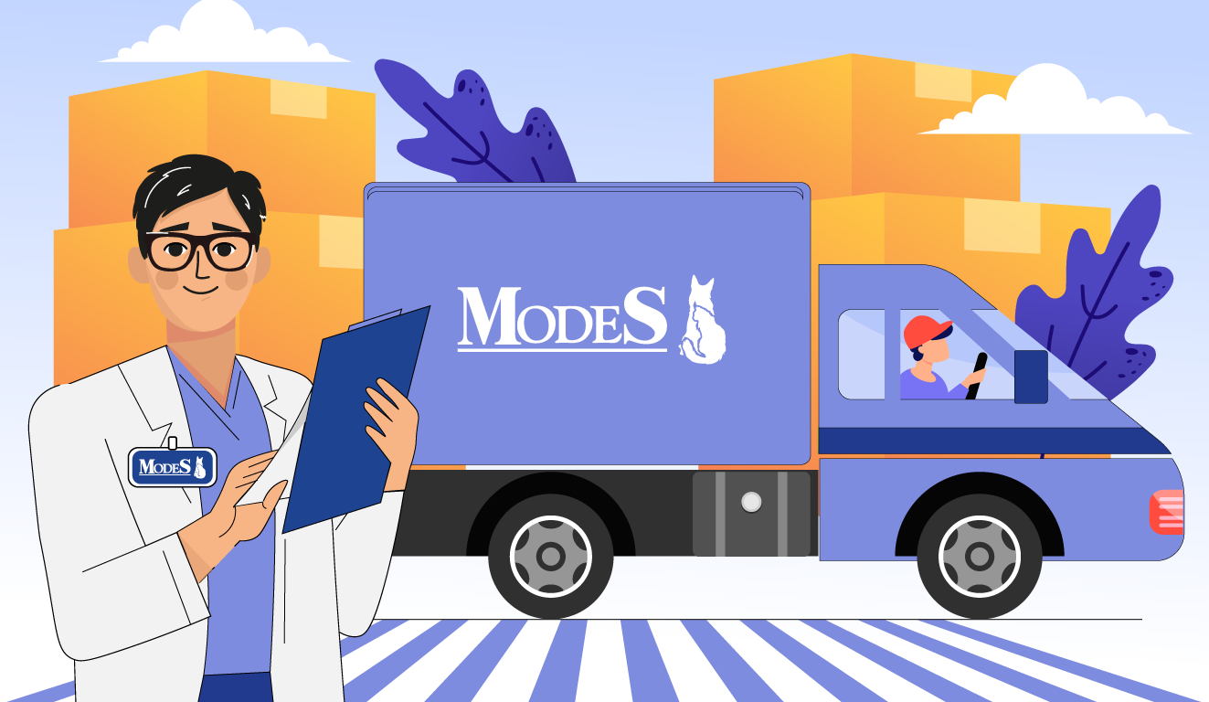 Партнерство з ModeS